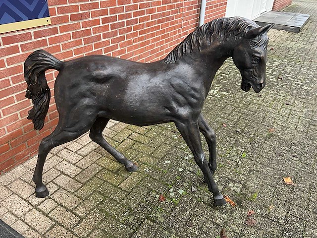 Bronzen paard - afbeelding 2 van  5