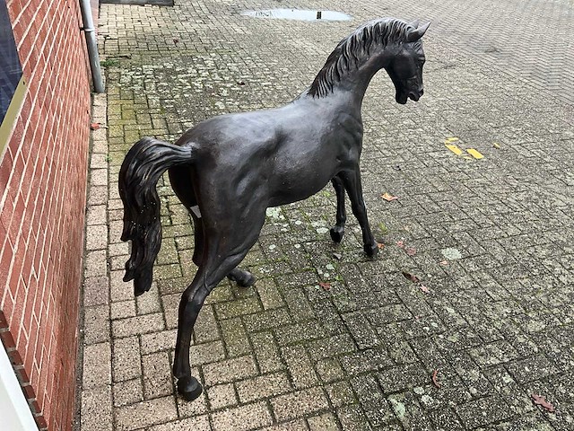 Bronzen paard - afbeelding 3 van  5