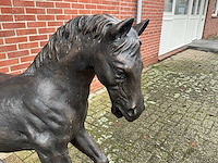Bronzen paard - afbeelding 4 van  5