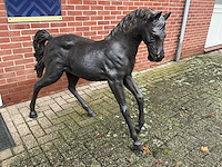 Bronzen paard - afbeelding 5 van  5