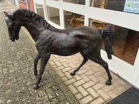 Bronzen paard - afbeelding 1 van  4