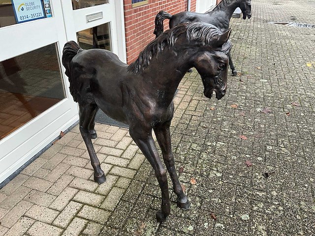 Bronzen paard - afbeelding 2 van  4