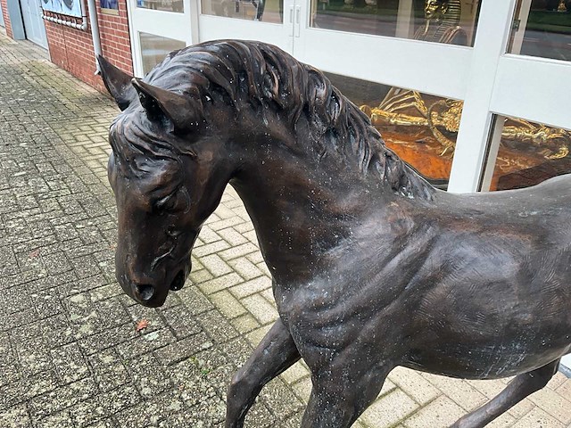 Bronzen paard - afbeelding 4 van  4