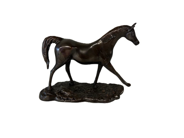 Bronzen paard - afbeelding 5 van  9