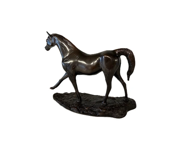 Bronzen paard - afbeelding 8 van  9