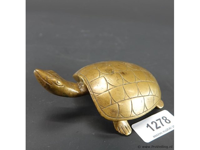 Bronzen schildpad - afbeelding 1 van  5