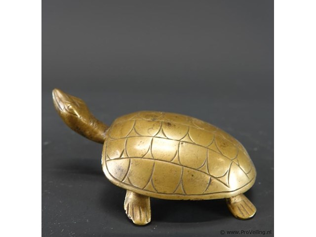 Bronzen schildpad - afbeelding 2 van  5