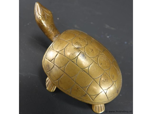 Bronzen schildpad - afbeelding 3 van  5
