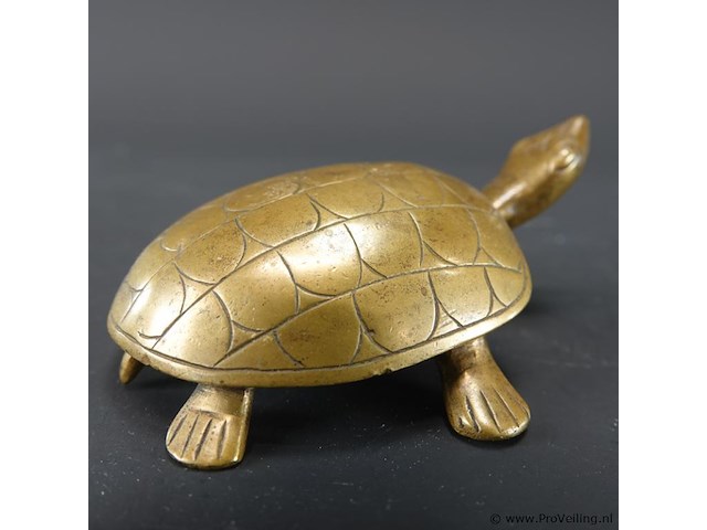 Bronzen schildpad - afbeelding 4 van  5