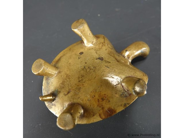 Bronzen schildpad - afbeelding 5 van  5