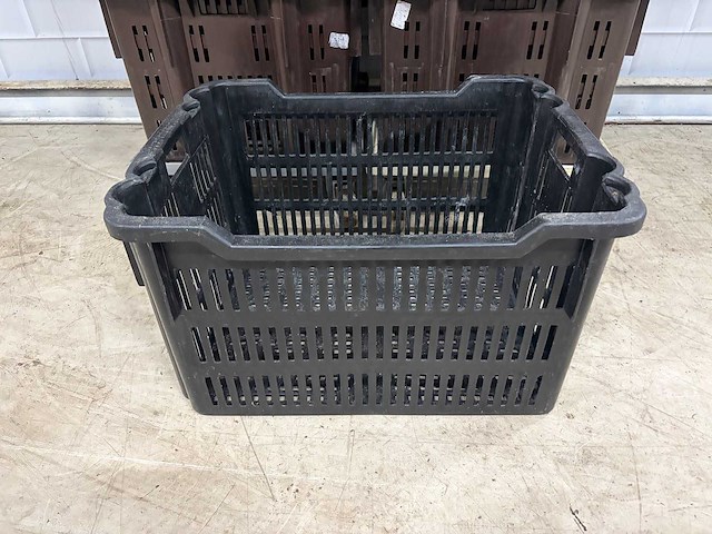 Broodkrat (23x) - afbeelding 4 van  4