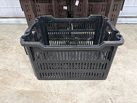 Broodkrat (23x) - afbeelding 4 van  4