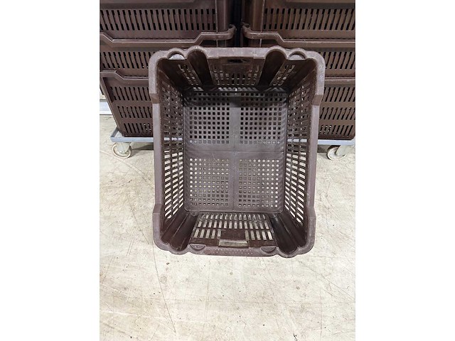 Broodkrat (24x) - afbeelding 3 van  4