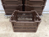 Broodkrat (24x) - afbeelding 4 van  4