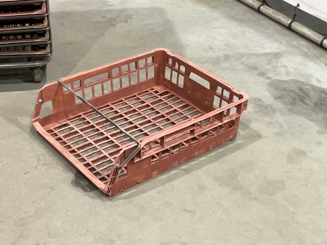 Broodkrat (25x) - afbeelding 4 van  6