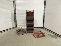 Broodkrat (25x) - afbeelding 2 van  4