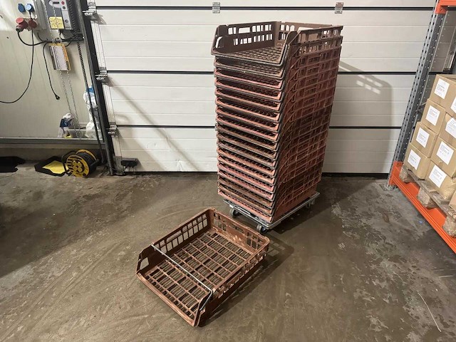 Broodkrat (25x) - afbeelding 3 van  4