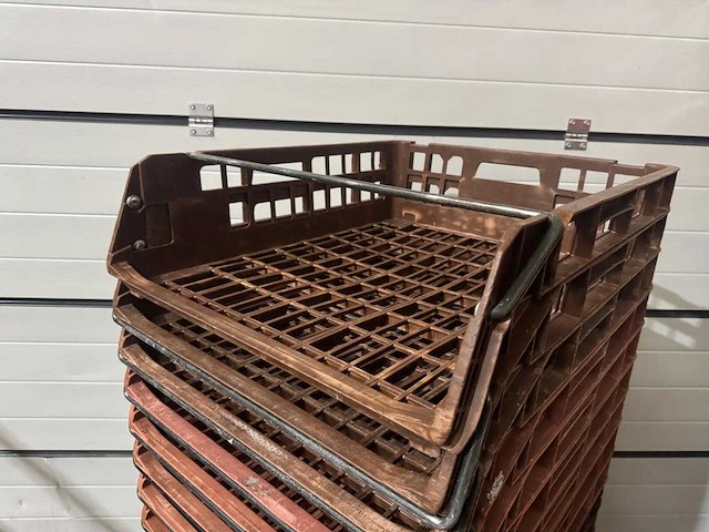 Broodkrat (25x) - afbeelding 2 van  3