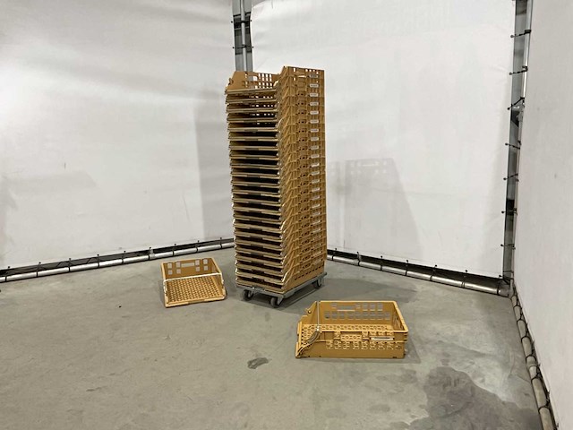 Broodkrat (50x) - afbeelding 1 van  6