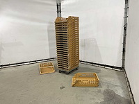 Broodkrat (50x) - afbeelding 1 van  6