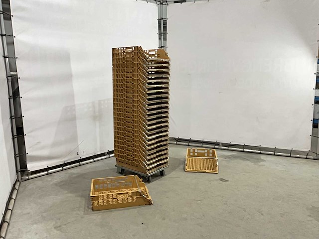 Broodkrat (50x) - afbeelding 2 van  6