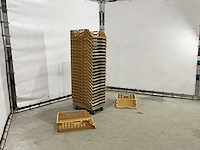 Broodkrat (50x) - afbeelding 2 van  6