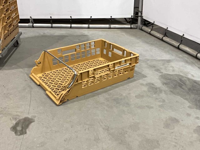 Broodkrat (50x) - afbeelding 4 van  6