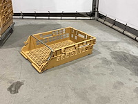 Broodkrat (50x) - afbeelding 4 van  6