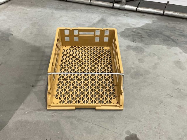 Broodkrat (50x) - afbeelding 5 van  6