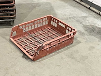 Broodkrat (50x) - afbeelding 4 van  6