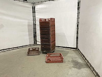 Broodkrat (50x) - afbeelding 1 van  6