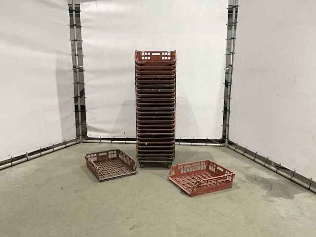 Broodkrat (50x) - afbeelding 3 van  6