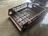 Broodkrat (50x) - afbeelding 3 van  3