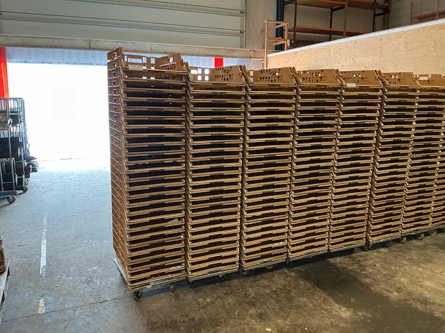 Broodkratten (100x) - afbeelding 1 van  2