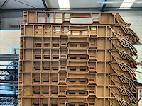 Broodkratten (100x) - afbeelding 2 van  2