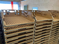 Broodkratten (150x) - afbeelding 2 van  4