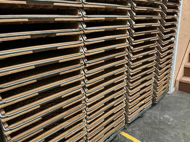 Broodkratten (150x) - afbeelding 4 van  4