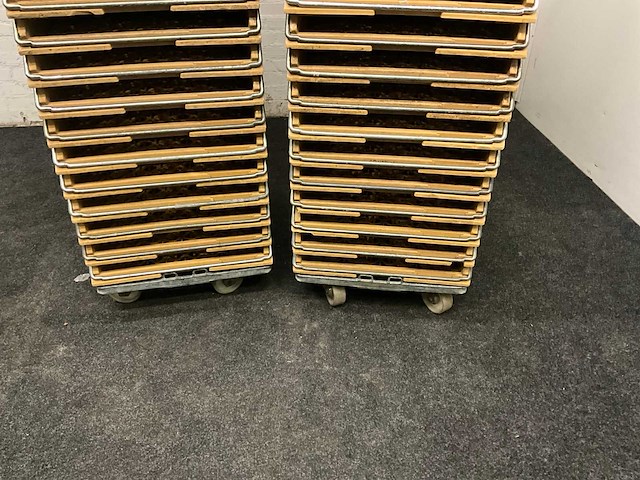 Broodkratten (72x) - afbeelding 3 van  4