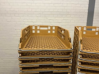 Broodkratten (72x) - afbeelding 4 van  4