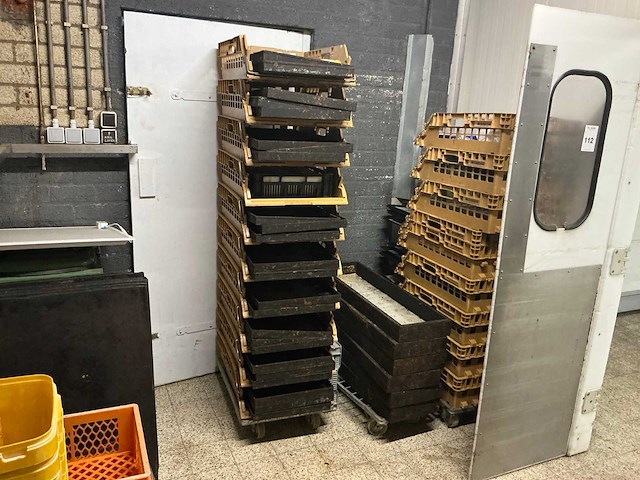 Broodkratten en divers - afbeelding 1 van  4