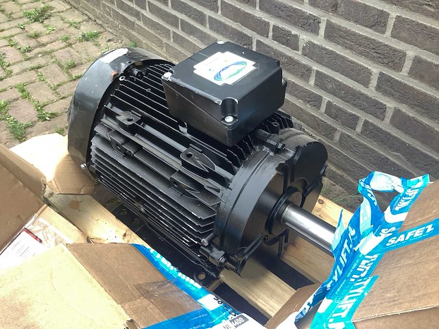 Brook crompton wp-da160ly4 elektromotor - afbeelding 1 van  6