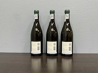 Brookdale estate chenin blanc 2022 (3x) - afbeelding 1 van  1
