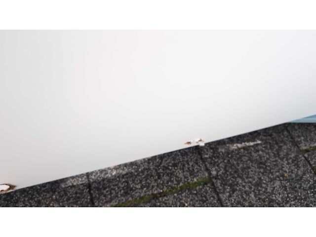 Bruynzeel - keuken met apparatuur - afbeelding 24 van  28