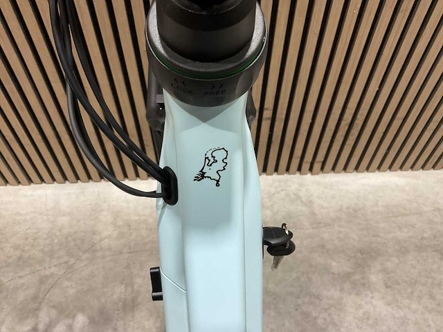 Bsp attivo elektrische fiets - afbeelding 40 van  65