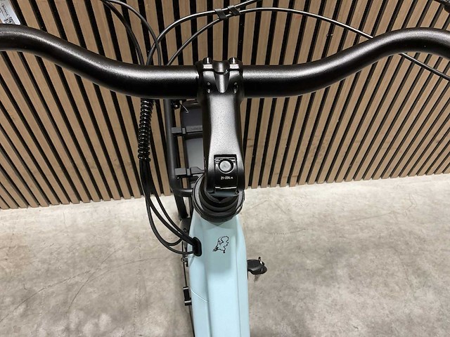 Bsp attivo elektrische fiets - afbeelding 43 van  79