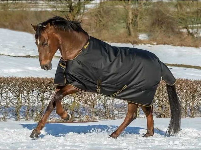 Bucas - irish turnout 300g - waterdichte deken - paarden accessoire - afbeelding 2 van  4