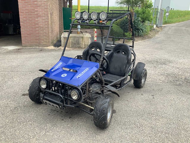 Buggy - quad - 2016 - afbeelding 12 van  14