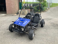 Buggy - quad - 2016 - afbeelding 12 van  14