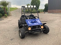 Buggy - quad - 2016 - afbeelding 9 van  16