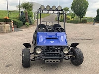 Buggy - quad - 2016 - afbeelding 14 van  16